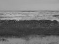 tn_meer-pict0051.jpg