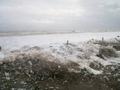 tn_meer-pict0109.jpg